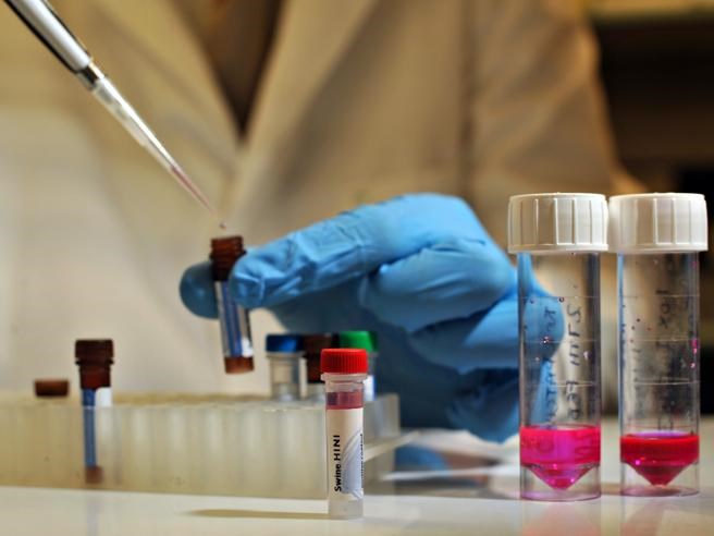 Clinica per inseminazione, medico «accusato» di essere padre di sessanta bimbi
